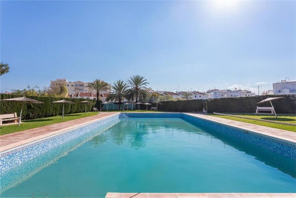 Beautiful Apartment With 2 Bedrooms Close To Beach Τορεβιέχα Εξωτερικό φωτογραφία